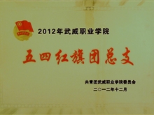 2012年五四红旗团总支